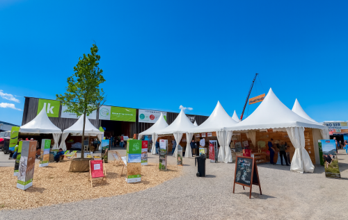 Pagoden 5x5m und 3x3m